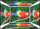 Sanyo Epson LCDs: clear images from any angle - Digital cameras, digital camera reviews, photography views and news news