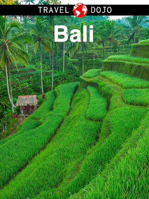 Bali Travel Guide